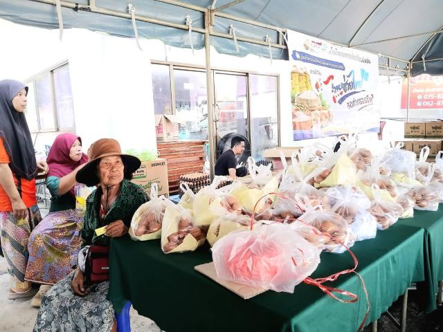 ทดสอบ
