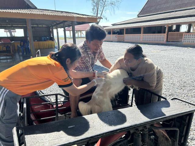 ประมวลภาพโครงการควบคุมและป้องกันโรคพิษสุนัขบ้า